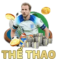 Biểu tượng đội ngũ hỗ trợ